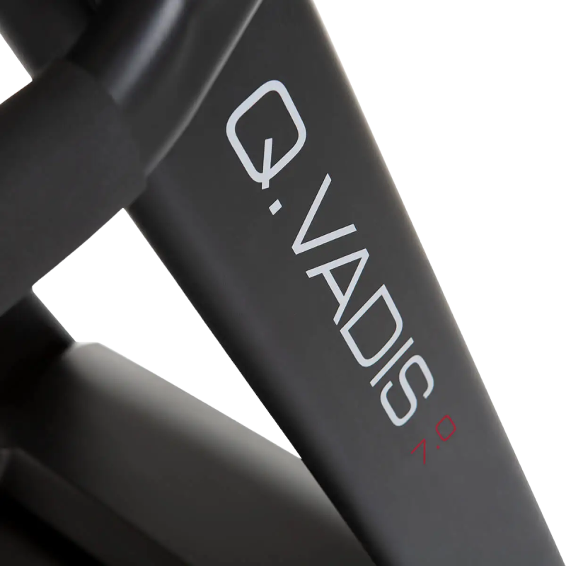 Jooksulint HAMMER Q. VADIS 7.0 6 -