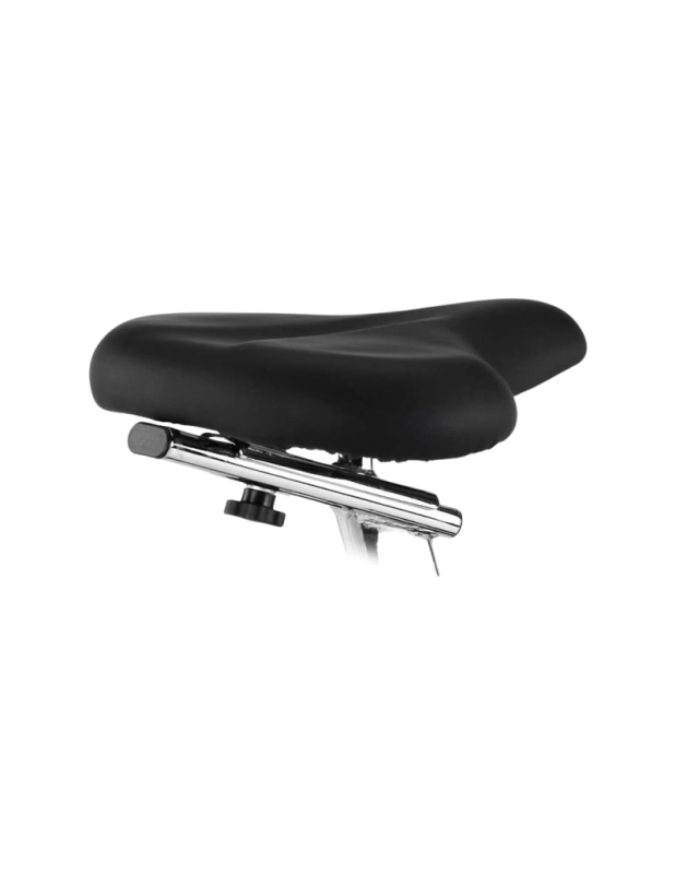 Velotrenažöör BH FITNESS Arctic 3 -