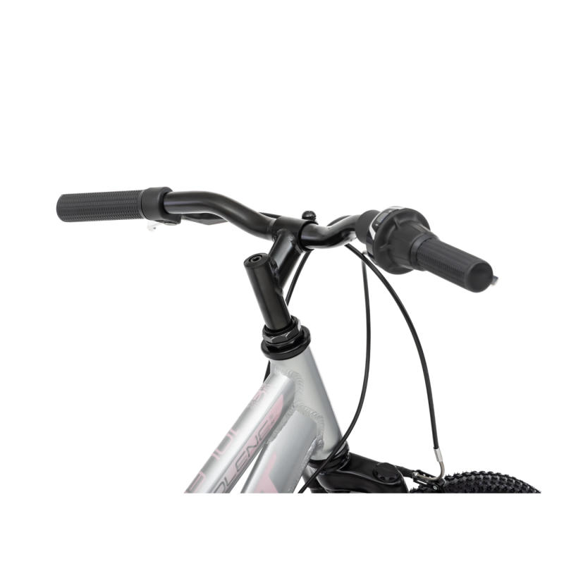 Laste jalgratas ROMET Jolene 20 KID 2, hall-roosa 3 -