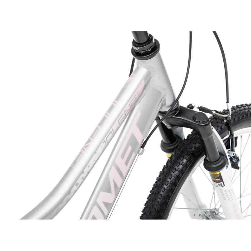 Laste jalgratas ROMET Jolene 20 KID 2, hall-roosa 4 -