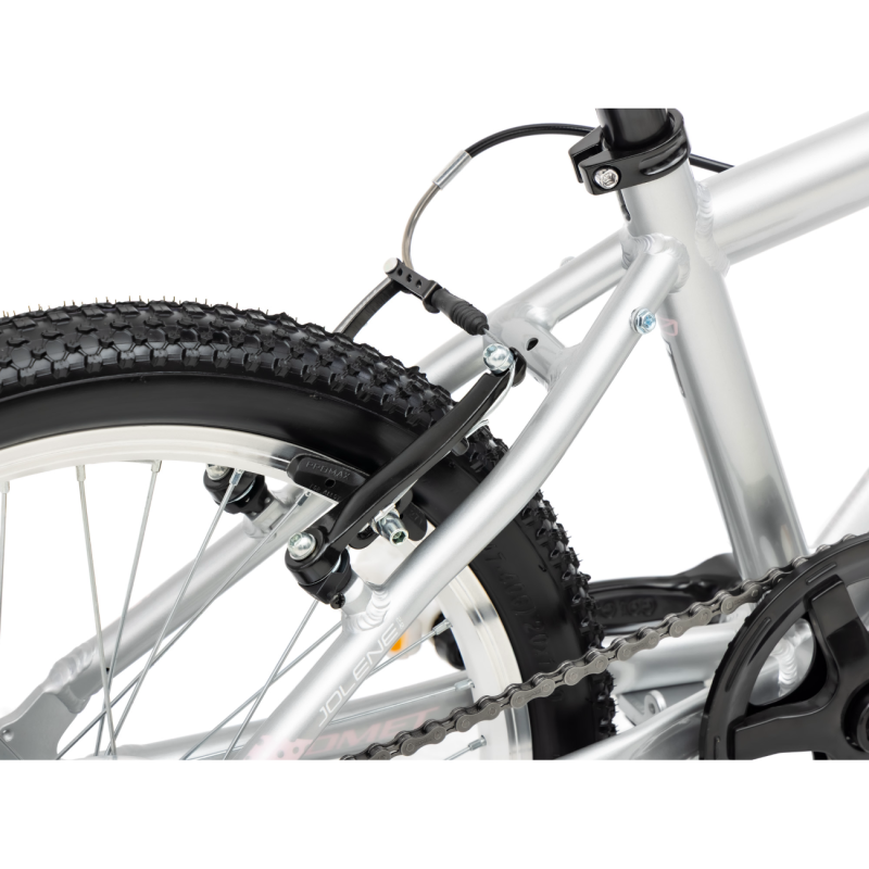 Laste jalgratas ROMET Jolene 20 KID 2, hall-roosa 5 -