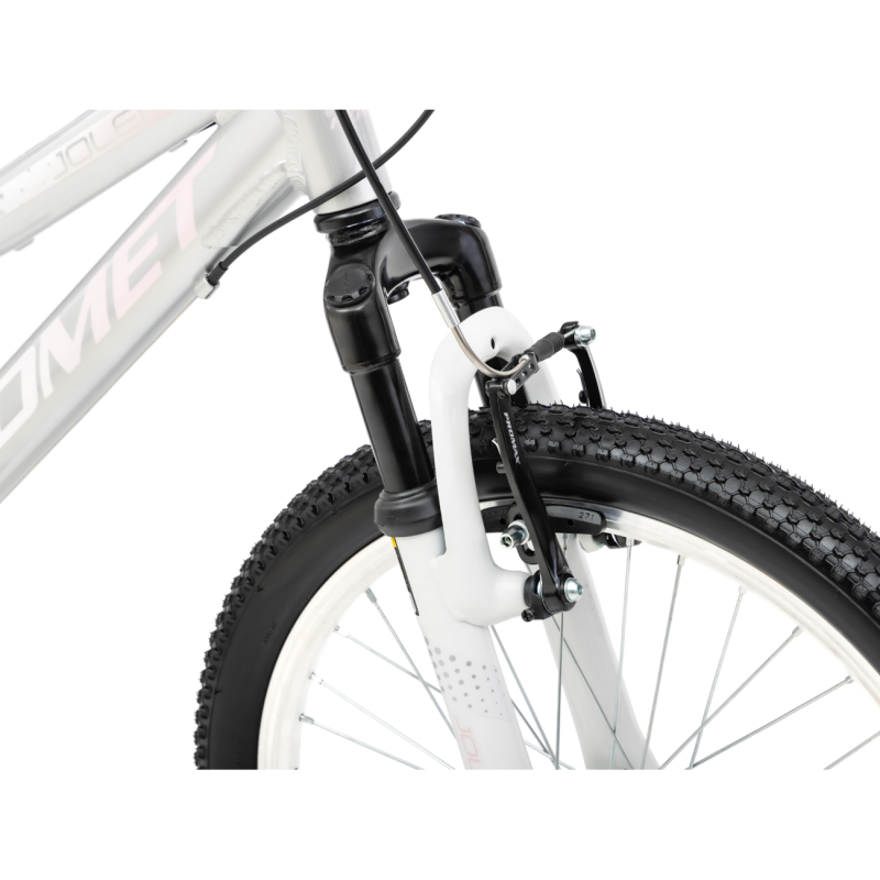 Laste jalgratas ROMET Jolene 20 KID 2, hall-roosa 6 -