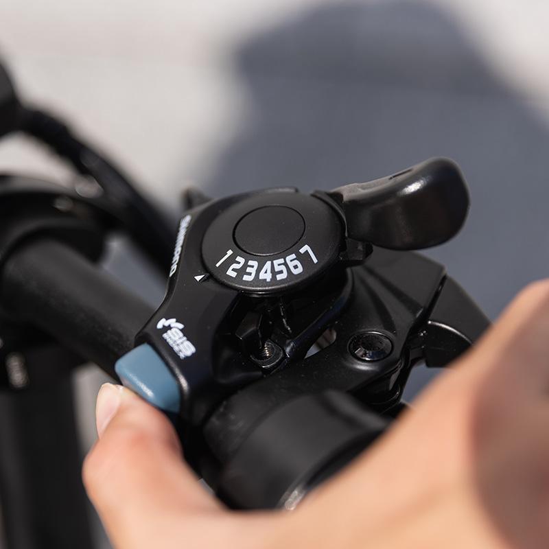 Kokkupandav elektrijalgratas ADO A20 XE, valge 6 -