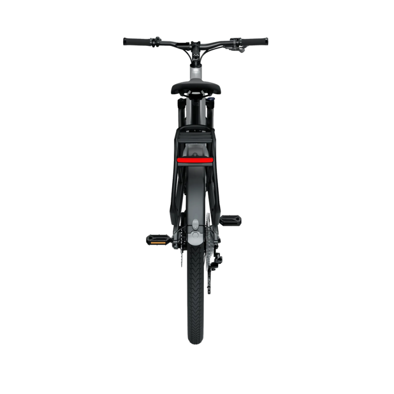 Elektrijalgratas TENWAYS AGO X, 29" Gradient Silver (L) 4 -