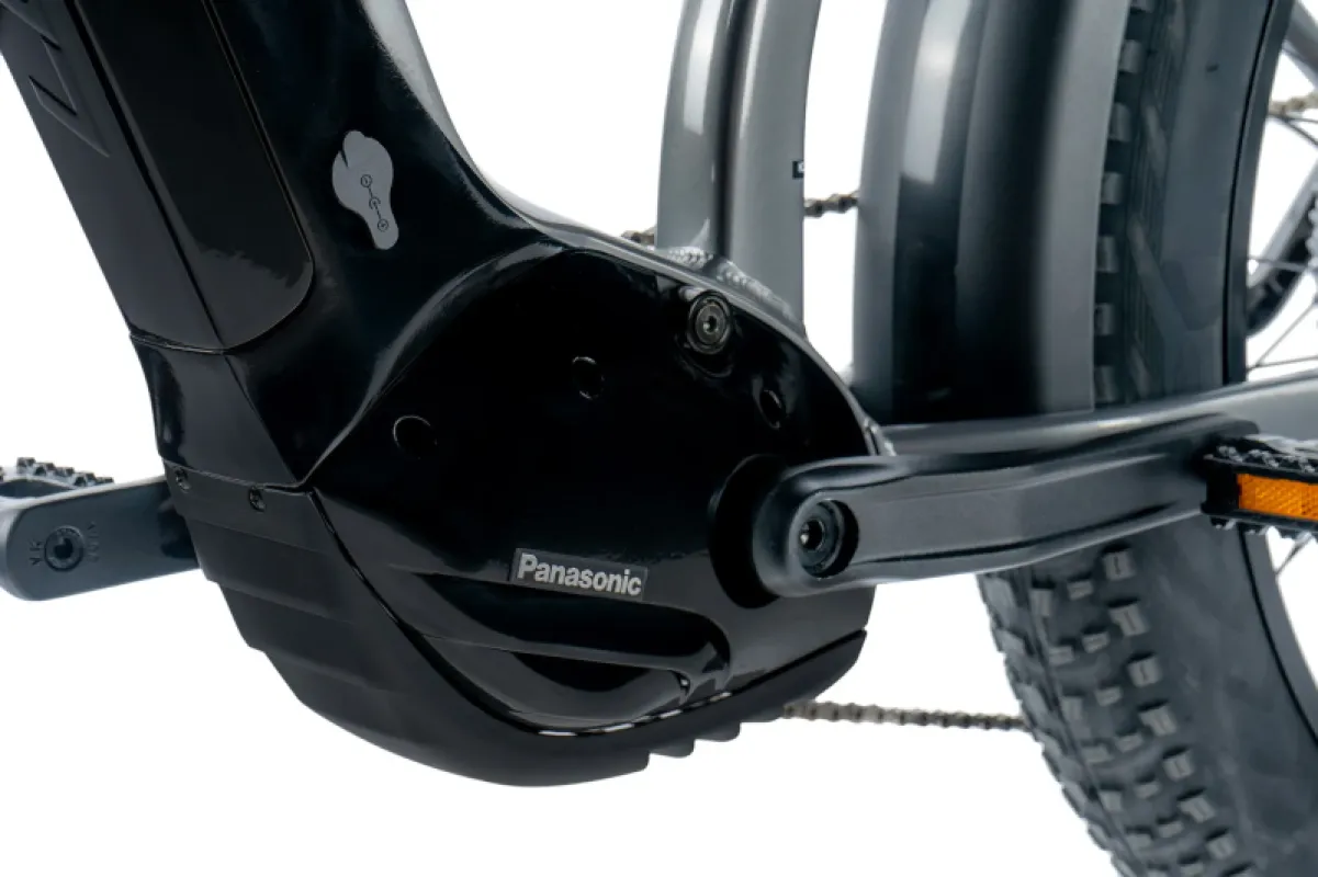 Elektriline fatbike LEADER FOX Brasa 26": Grey (L) 4 -