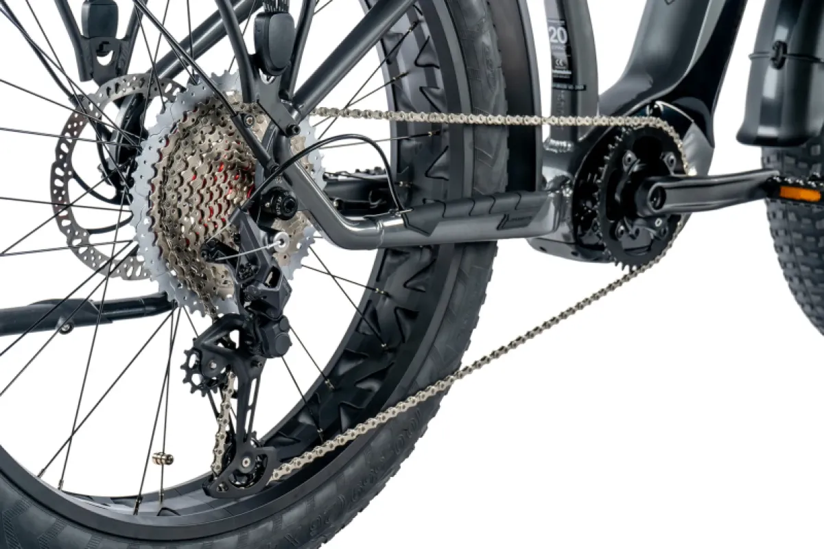 Elektriline fatbike LEADER FOX Brasa 26": Grey (L) 6 -