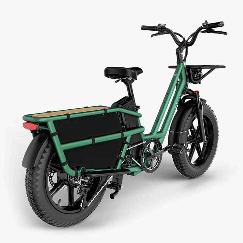 Elektriline kargoratas FIIDO T2 Longtail Cargo, Forest Green 3 -