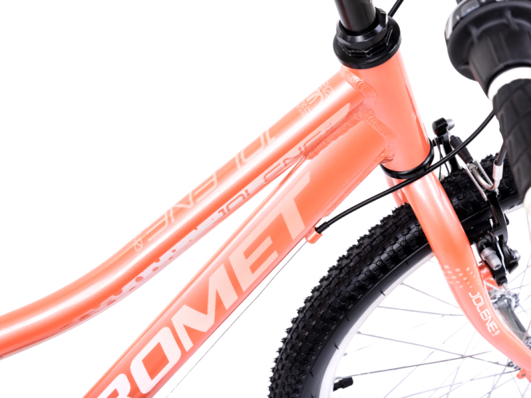 Laste jalgratas ROMET Jolene 20 KID 1, roosa-valge 3 -