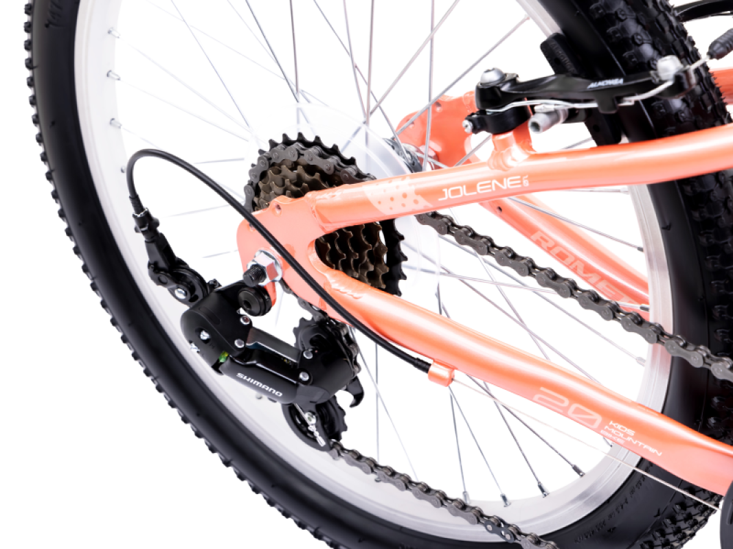 Laste jalgratas ROMET Jolene 20 KID 1, roosa-valge 5 -