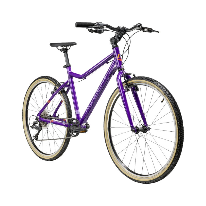 Ülikerge noorte jalgratas ACADEMY Grade 6, 26" Purple 2 -