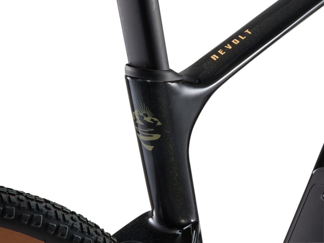 Gravel jalgratas GIANT Revolt Advanced 3 (2025) Panther (L) 5 -